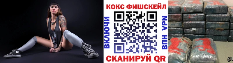 Cocaine Fish Scale MEGA ТОР Выкса закладки