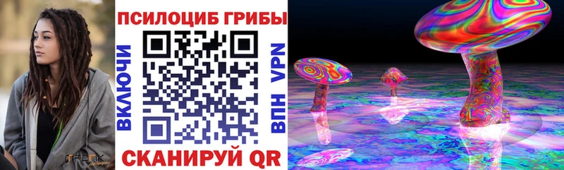 дарнет шоп  Выкса  Псилоцибиновые грибы прущие грибы 